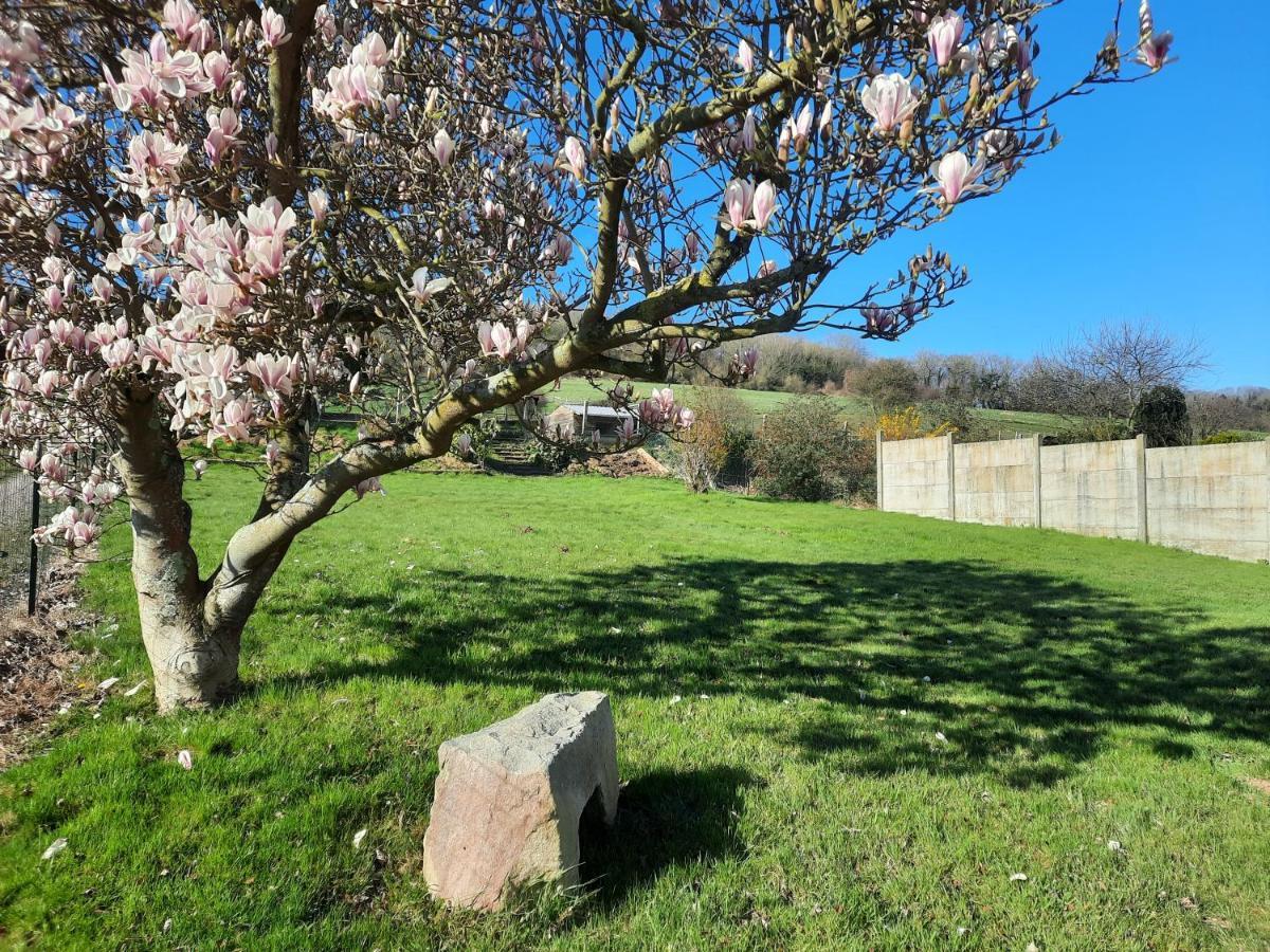 Residences Privees 1 Ou 3 Entre Varengeville Sur & Dieppe Hautot-sur-Mer